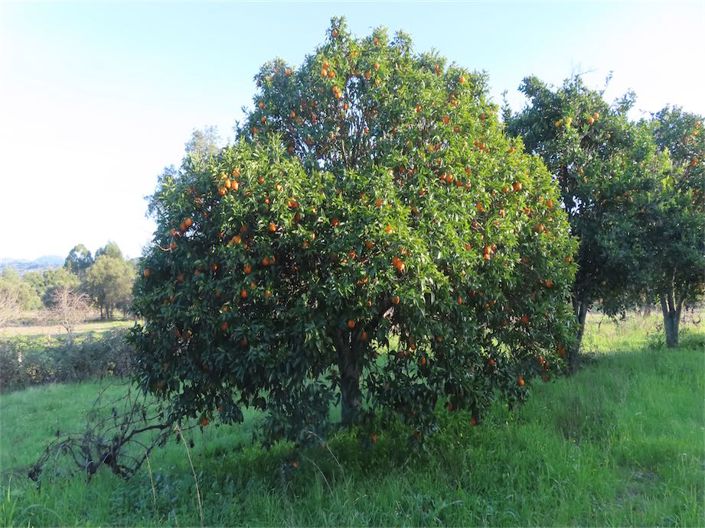 Image No.5-Property for sale