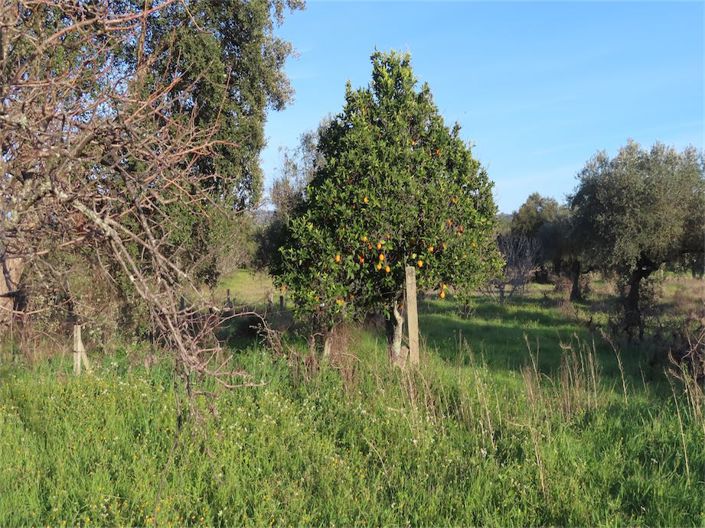 Image No.6-Property for sale