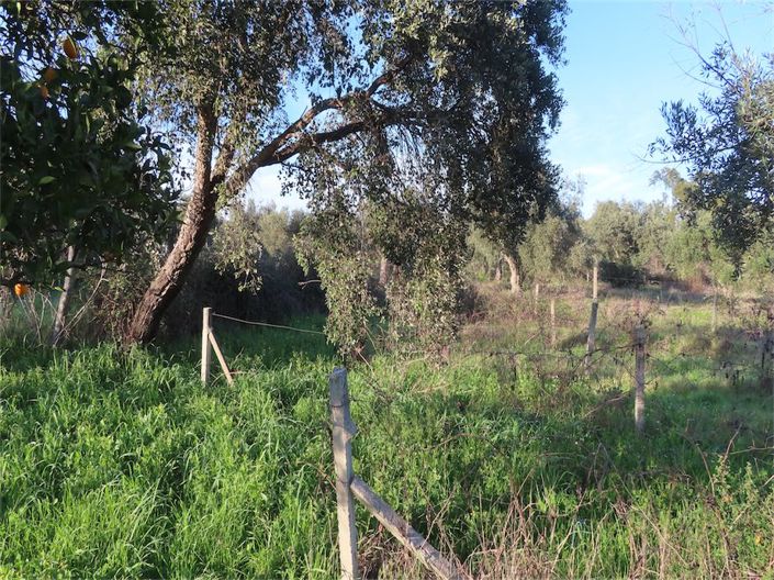 Image No.7-Property for sale