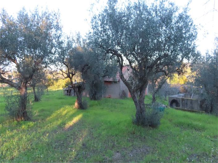 Image No.8-Property for sale