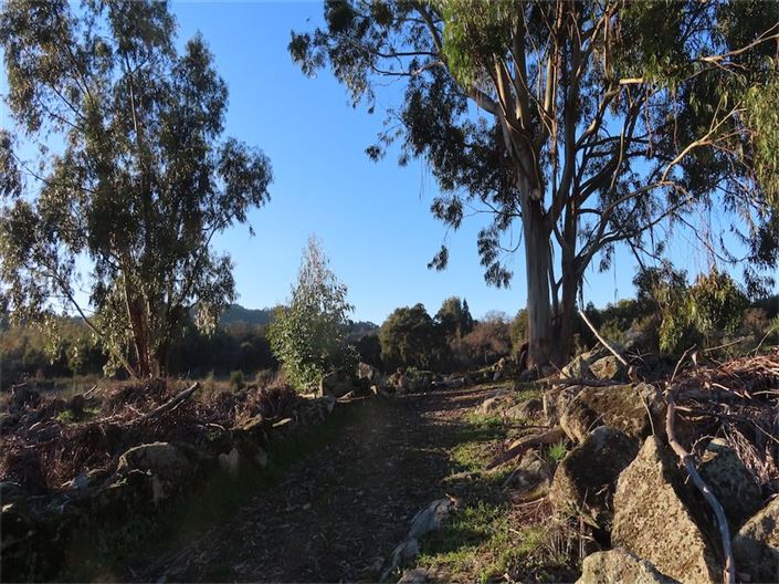 Image No.14-Property for sale