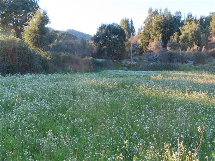 Image No.19-Property for sale