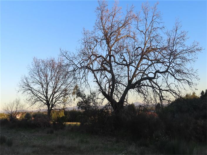 Image No.27-Property for sale