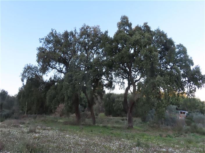 Image No.29-Property for sale