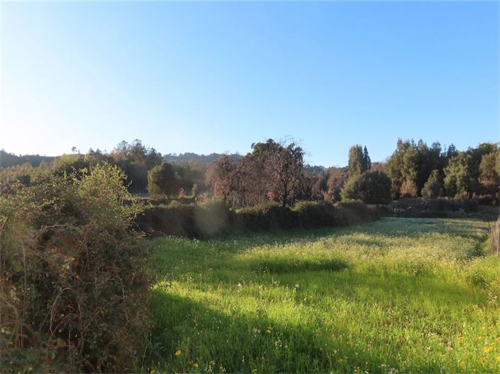 Image No.7-Property for sale