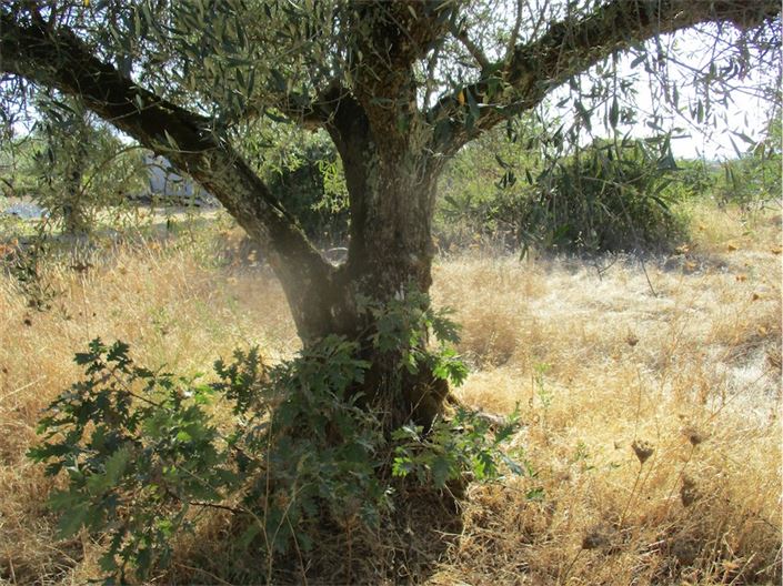 Image No.10-Property for sale