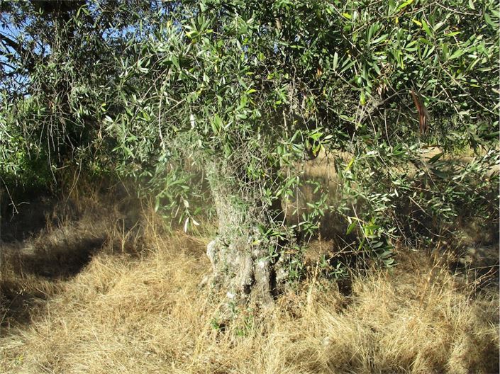 Image No.11-Property for sale