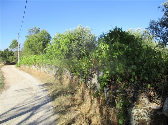 Image No.12-Property for sale