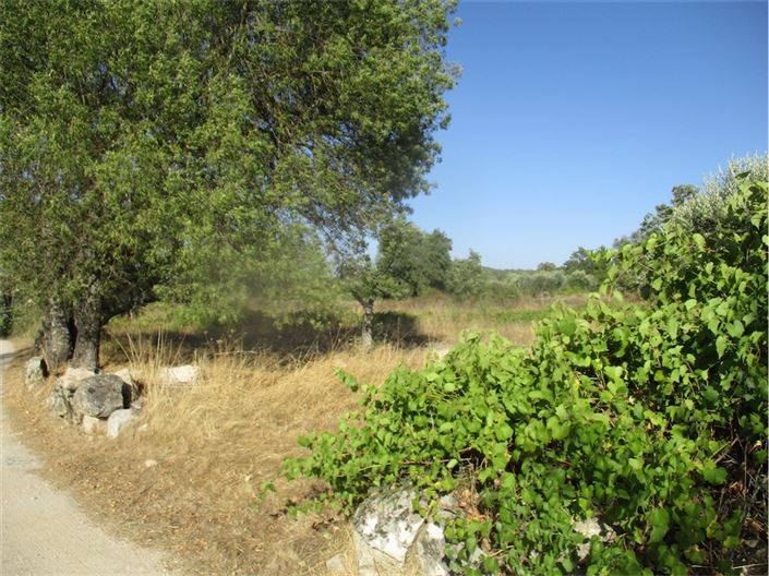 Image No.13-Property for sale