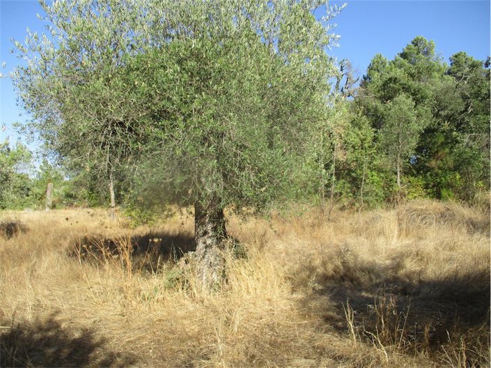 Image No.4-Property for sale