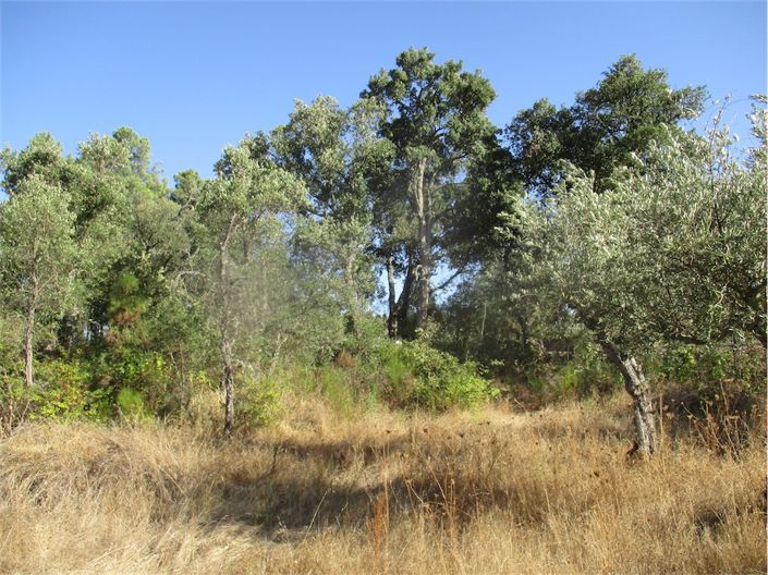 Image No.5-Property for sale