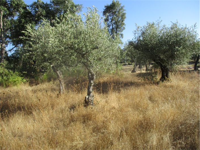 Image No.6-Property for sale