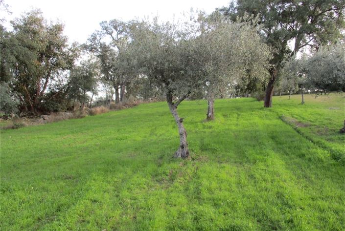 Image No.10-Land for sale