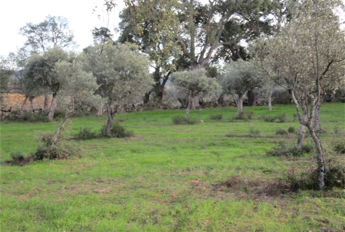 Image No.14-Land for sale