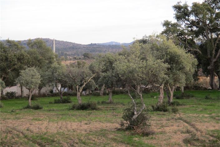 Image No.15-Land for sale