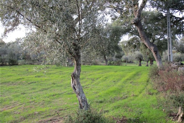 Image No.20-Land for sale