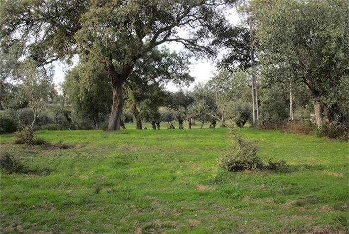 Image No.21-Land for sale