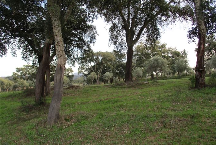 Image No.3-Land for sale