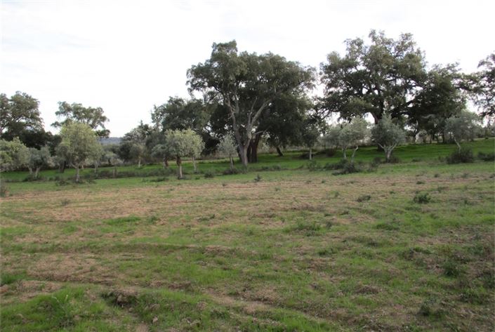 Image No.5-Land for sale