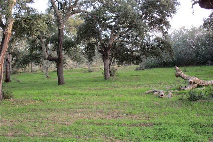 Image No.7-Land for sale