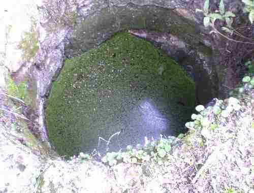 Image No.1-Propriété à vendre à Castelo Branco
