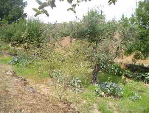 Image No.10-Property for sale