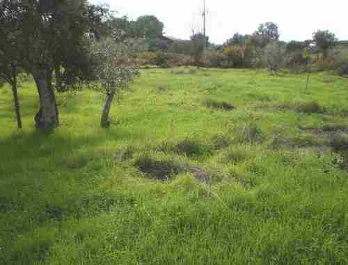 Image No.2-Propriété à vendre à Castelo Branco