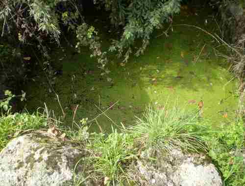 Image No.3-Property for sale