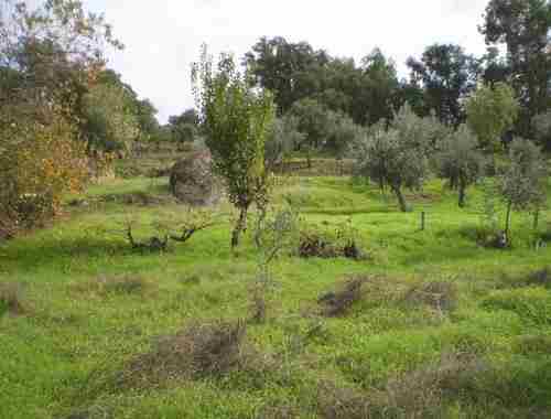 Image No.4-Property for sale