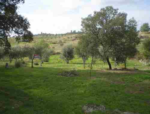 Image No.1-Property for sale