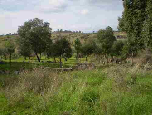 Image No.6-Property for sale