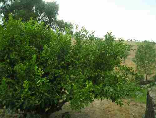 Image No.8-Property for sale