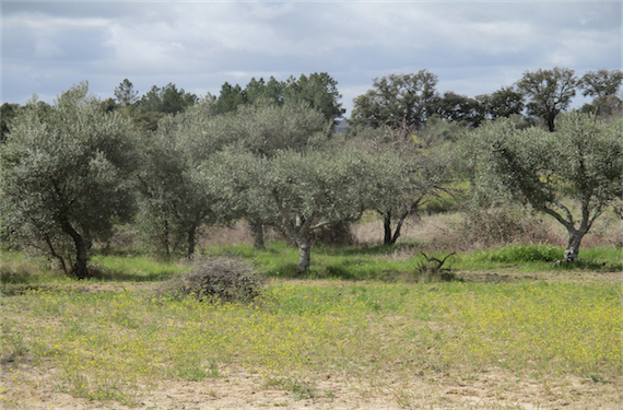 Image No.10-Property for sale