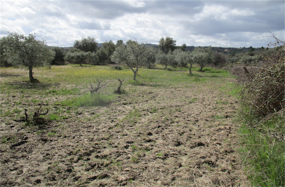 Image No.12-Property for sale