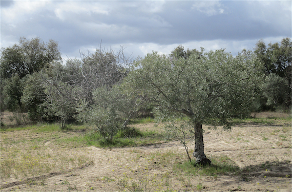 Image No.13-Property for sale