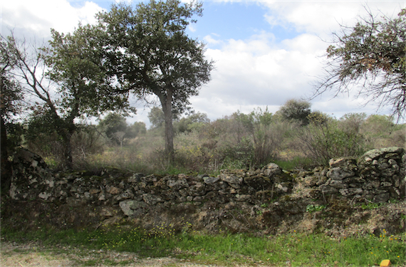 Image No.19-Property for sale