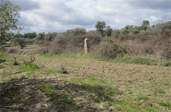 Image No.20-Property for sale