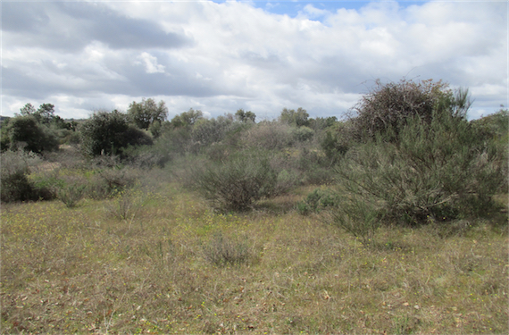 Image No.22-Property for sale