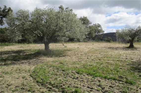 Image No.4-Property for sale