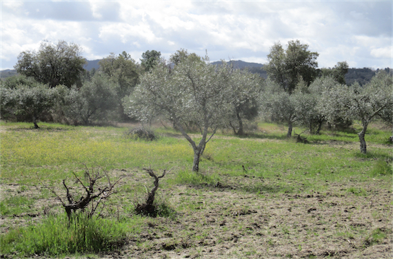 Image No.6-Property for sale