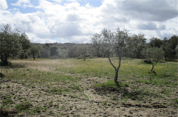 Image No.8-Property for sale