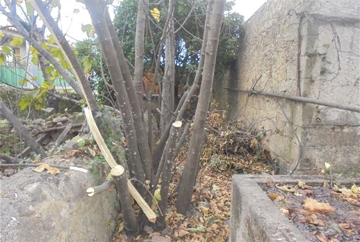 Image No.26-Property for sale