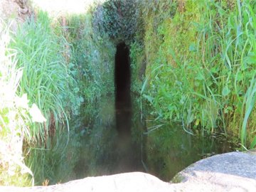 Propriété à vendre à Castelo Branco