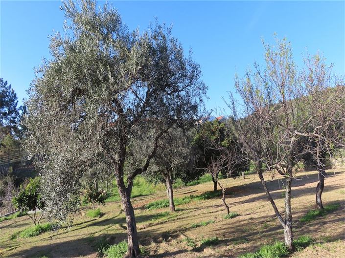 Image No.10-Property for sale