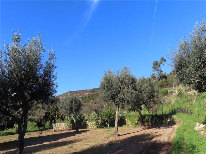 Image No.11-Property for sale