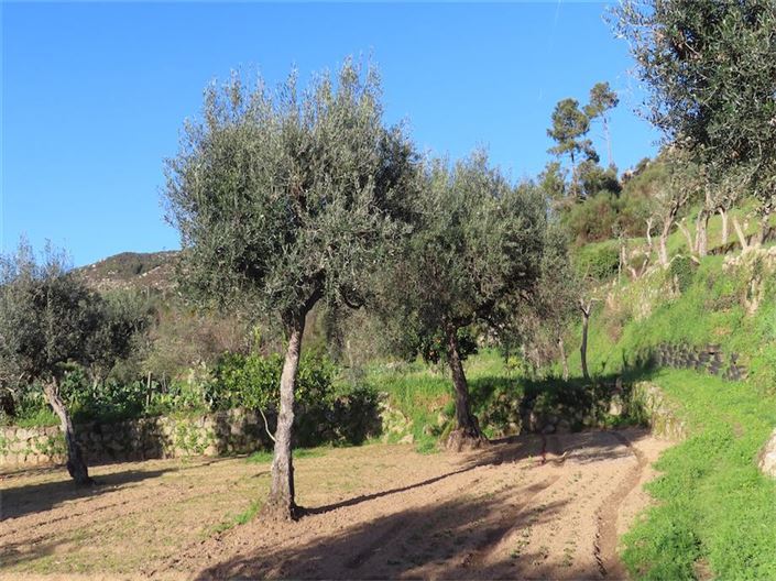 Image No.12-Property for sale