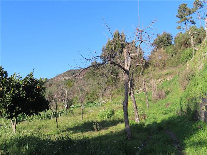 Image No.13-Property for sale