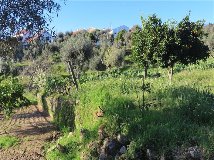 Image No.14-Property for sale