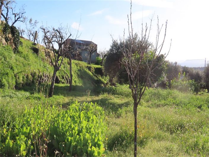 Image No.16-Property for sale