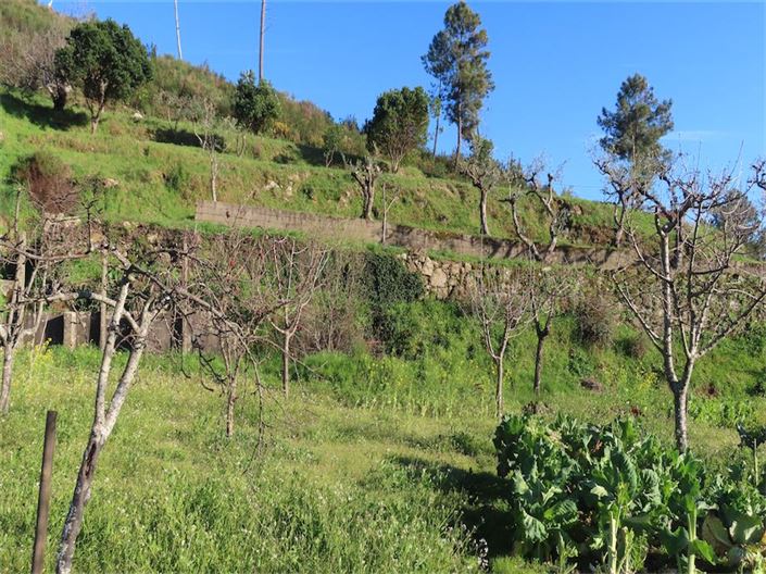 Image No.18-Property for sale